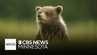 Social media is boosting national park visits, study finds