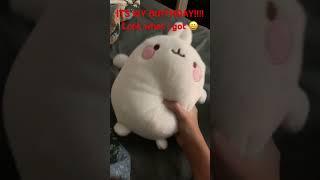 #birthday #plush #molang #molangandpiupiu #fyp