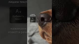 Аудиомагия: Трендовая озвучка в CapCut Инст chiroevna_k еще больше уроков #обучение   #видеомонтаж