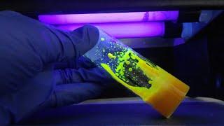 Quantum Dots New Nano World