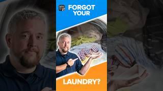 How Long Can Laundry Sit in the Washer? Avoid Musky Smells!