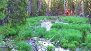 Dairy Ridge Bigfoot in Wasatch Mountains