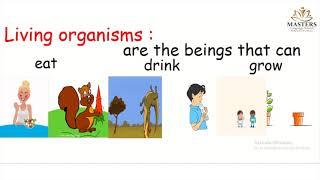 KG2-Science - unit 3 lesson 1 living and non living