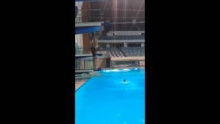 Forward dive tuck with arm swing 1m