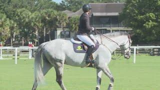 Bringing horses to Paris no easy task for Team USA equestrian competitors