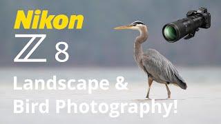 Nikon Z8 Landscape & Bird Photography 600 PF & 24-120 Lenses!  Long Exposure!