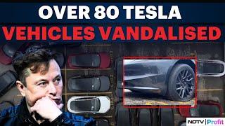 More Than 80 Tesla Cars Vandalised In Hamilton, Canada; Police Investigate | Tesla News