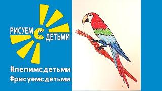 Как нарисовать ПОПУГАЯ. Рисуем с детьми экзотических птиц. How to draw a PARROT.