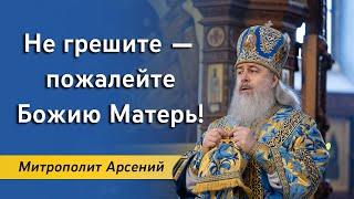 Проповедь митрополита Арсения в день празднования иконы Божией Матери "Дивногорская". 18.02.24 г.