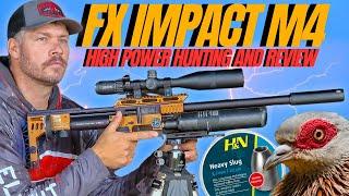 FX IMPACT M4 HUNT AND REVIEW I HIGH POWER AIRGUN HUNTING WITH FX IMPACT M4 I AIRGUN PEST CONTROL