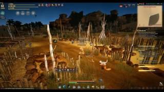 Black Desert   Очки Энергии что это? Где брать? Куда использовать?