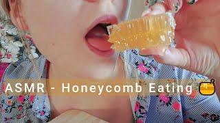 ASMR - Honeycomb Eating 