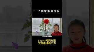 一个国家集体撒谎，导演冒死拍的一部纪录片，小女孩因为最后一句话再无消息 #纪录片 #朝鲜 #太阳之下