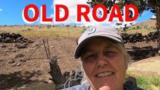 Metal Detecting Old Road!