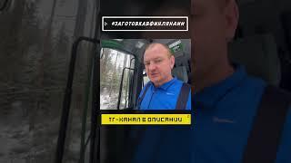 Обмер кубов? #заготовкавфинляндии #лесозаготовка #харвестер #logging #johndeere