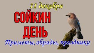 СОЙКИН ДЕНЬ 11 декабря. С Сойкиным днем. Народные приметы, обряды, праздники