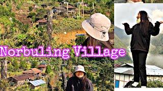 Norbuling village || Arunachal Pradesh #tuting #Indiannomadic #pemakoe #tibetanvlogger