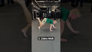 3 Special Animal Walk Variations (Chameleon, Zebra and...)