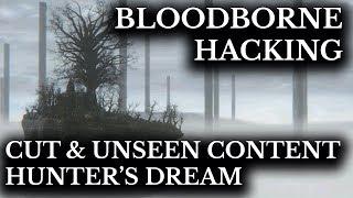 Bloodborne Unseen Content :: The Hunter's Dream Pillars :: Character Editor