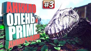 PRIME Диморфодон #3 Extinction core на сервере Undead ARK