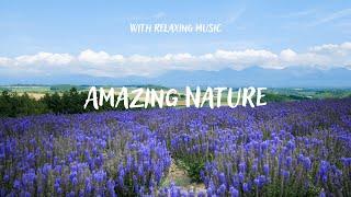 RELAXING NATURE VIDEO FOR YOUR YOGA - (FHD) AMAZING WORLD