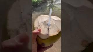 SATISFYING FRESH COCONUT”BUKO” | LIVING THE SIMPLE LIFE IN PROVINCE.