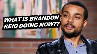 OUT OF THE SPOTLIGHT!!! 'MAFS' Here's Brandon Reid's Life After The Show