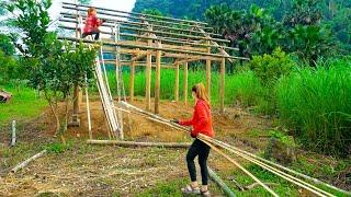 Time-Lapse: Solo Build LOG CABIN from START to FINISH | Wooden House Construction - Ep.1