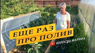 Что не договорила про полив. Перец и баклажаны.