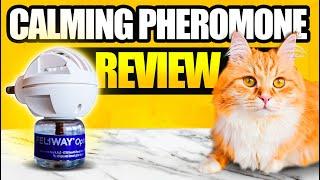 Feliway Cat Calming Pheromone - Does It Really Work?