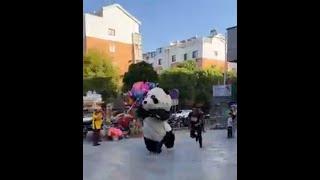 cute panda | cute pand new video | panda  status | panda cartoon #shorts #panda #cute #funny#tiktok