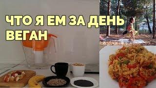 ЧТО Я ЕМ ЗА ДЕНЬ / ВЕГАН // VEGAN / WHAT I EAT IN A DAY vol. 2