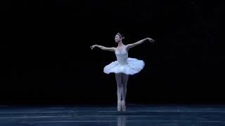 LA BAYADÈRE - Shade Variation #2 (Akane Takada - Royal Ballet)