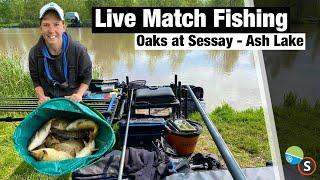 Live Match Fishing - The Oaks Lakes Ash Lake