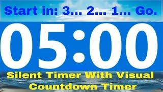 5 Minute Countdown Timer Silent No Music * NO ADS DURING TIMER * 3 Second Count Down To Start -2022