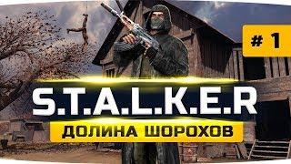 ИГРА, КОТОРУЮ ВЫ ВСЕ ТАК ЖДАЛИ ● S.T.A.L.K.E.R.: Долина Шорохов #1