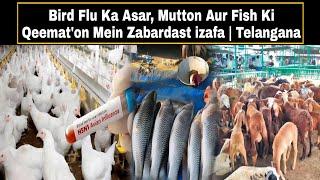 Bird Flu Ka Asar, Mutton Aur Fish Ki Qeemat'on Mein Zabardast izafa | Telangana | AHN News