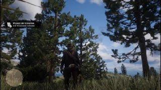 Red Dead Redemption 2 Robin & Baltimore Oriole Location