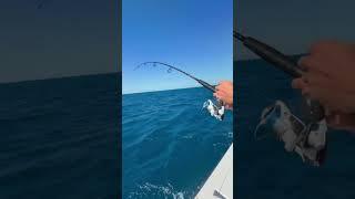 Wintertime fishing Key West FL #ocean #fishing #winter #florida #nature #fyp #shorts