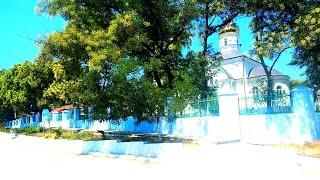 Kongaz