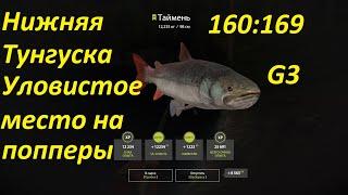 Русская рыбалка 4. Уловистое место на Тунгуске.рр4