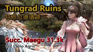 BDO | Tungrad Ruins | Succ. Maegu | 31.3k trash/h | Lv2 LS no Agris