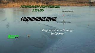 ЗИМНЯЯ РЫБАЛКА В КРЫМУ,РОДНИКОВОЕ,ЛОВЛЯ ЩУКИ