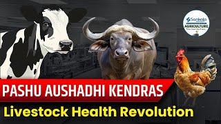 PASHU AUSHADHI KENDRAS || Livestock Health Revolution || Sankalp Agriculture #sankalpagriculture