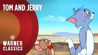 Tom and Jerry | 1970's Mega Episode | Warner Classics