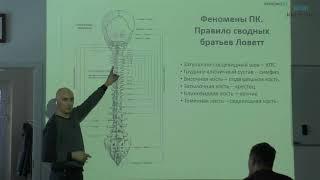 Центр КИНЕЗИО. Термины и понятия в прикладной кинезиологии