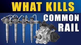 What Kills  The Common Rail System