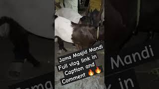 https://youtu.be/cg7wN9qt1YQ   #delhi #qazi #farmgoat #mandi_update #goneviral #goatfarm #mandi_vlog