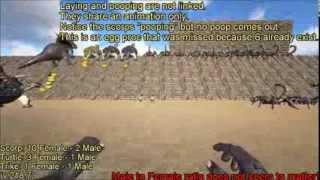 ARK Egg Laying Theory