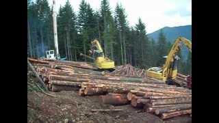 big yarder logging all peelers